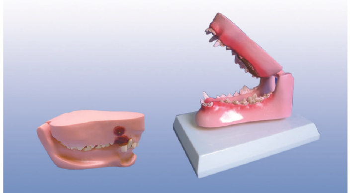 244feb3c-aee0-4f79-b903-3991d0a64c17.png