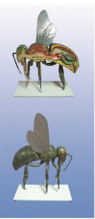 87db24e4-0862-4f91-af25-3006646ca19a.png