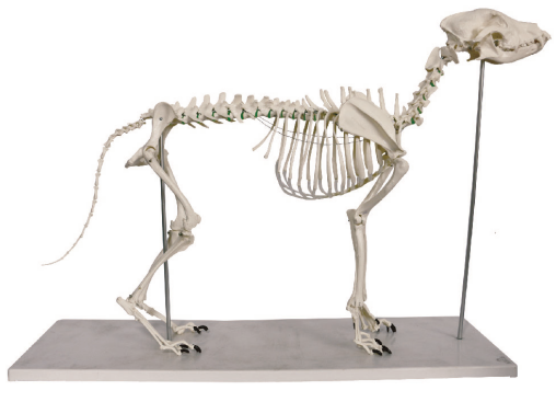 429727d2-e896-4d96-a21f-b896068ed38d.png