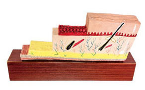 72a1bb5d-33ef-44ef-8b91-0f1ba0be37b0.png