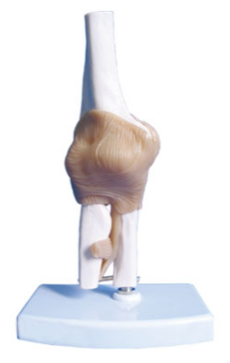 b77bb529-e8ec-417f-b81a-e7f9fb48a14f.png
