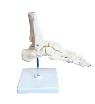160ece87-fda7-4a6b-99a8-f2df8438e749.png