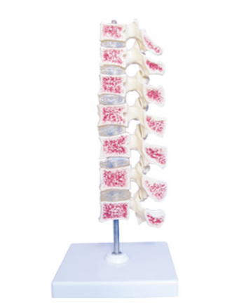 d05790ca-4cf7-4904-a1c2-dab748427a0e.png
