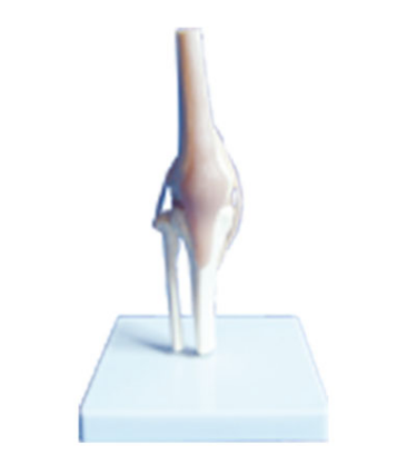 9b851f67-56de-470a-b35b-f7b251a17143.png