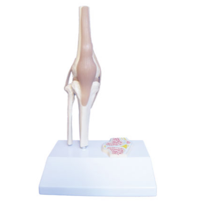 54f93e38-5181-45db-8518-3d1d44199d3e.png
