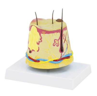 aaed5b96-950d-4262-a19b-77fd5f97900c.png