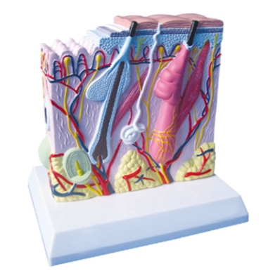 75ade712-f529-4f98-a03a-40ba107ecdba.png