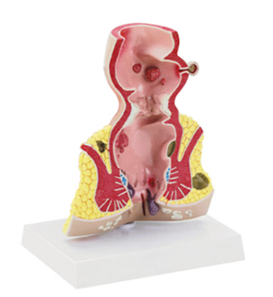 46014018-3d62-4430-b40b-49f37b84aa58.png