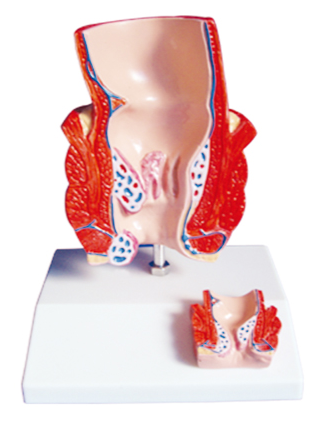 450f9bfe-295f-4510-8ed2-97ee8696c81b.png