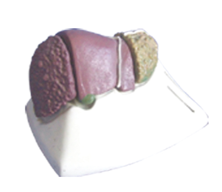 49d21b20-f918-4bc6-8195-d48bc6eaa475.png