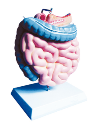 c397e902-f39c-4417-9693-f38c1f32ffbe.png