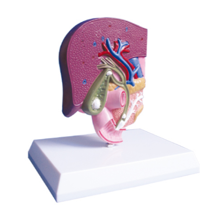 8ce52706-2979-4a82-b729-ead249a90e05.png