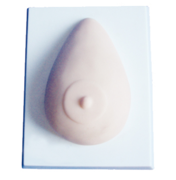 33c925ff-b2d1-4de1-9f87-c799e7204d1c.png