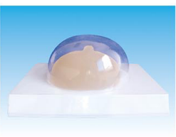 3e03215d-1eca-4055-b861-563f4172d34a.png