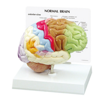 b7bfea90-793c-4a95-9a50-fbcca018d65d.png