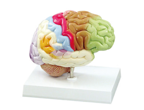 d9b3001d-cf60-4a04-9815-83adfc8a7d44.png