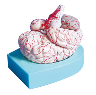69840308-f619-47ee-8de6-9393d68947f8.png