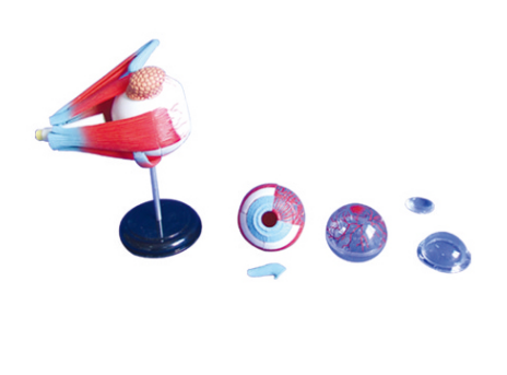 a15aa275-2713-4e5c-80b9-c63c6ca9248f.png