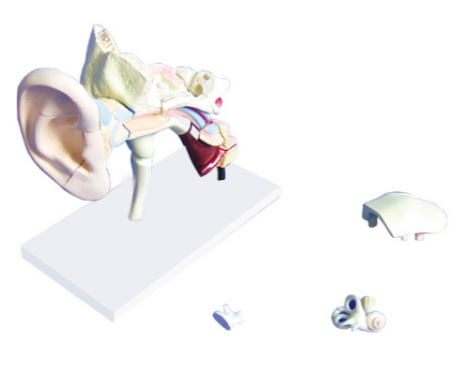 daa0a4be-c626-4567-a7a3-169a3650285c.png