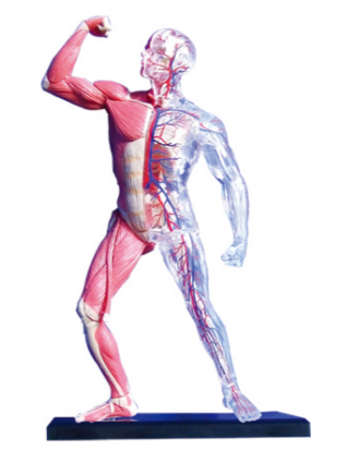354735f5-37a9-45ad-8ff5-84f6cac39ae1.png