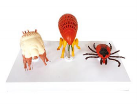 d8790bca-08df-4344-9f4d-c5883dcea0d9.png