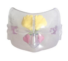 797ef933-f007-4439-ab89-86e0dde451c6.png