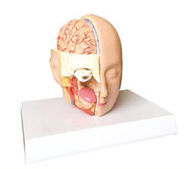 5d5bdf2d-a020-49fc-8f65-2572e80c6a61.png
