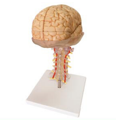 5b6de70d-9000-4f17-891a-0a6189cfe338.png