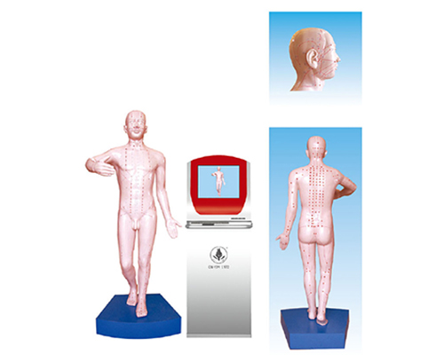 c2884ac3-2c00-495b-a9a6-cdc0b4388c21.png
