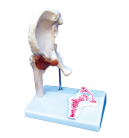 d1479d16-d78e-44fc-aefc-3f3cf239d270.png