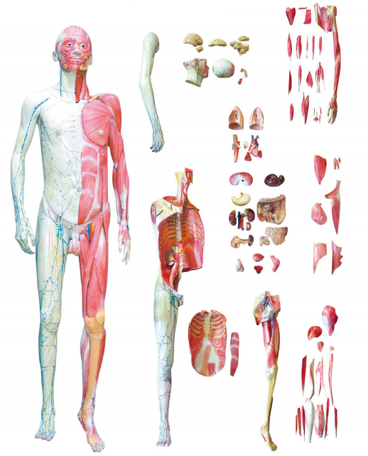 ea353229-f78d-4937-ab98-bf814bfd7797.png