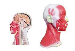 4ab59cbf-3d6b-4c9e-b5a7-6efc33a40747.png
