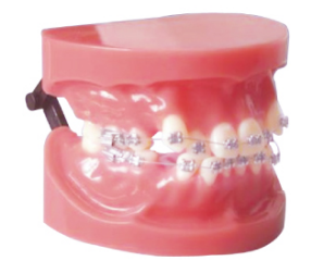 bc72fad5-a062-47f3-aae7-a1e34eda33e9.png