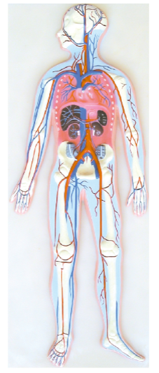 5b0f78fa-e548-4558-bbae-a626cfeab727.png