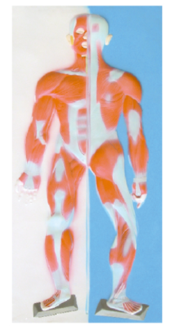 92654fb9-8956-4f26-8ccb-33ebe2f462f1.png