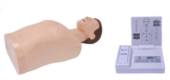 电子半身心肺复苏CPR15200.png