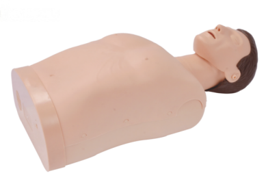 半身心肺复苏训练模拟人简易版 CPR190.png