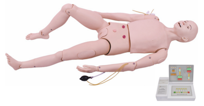 高级成人护理及CPR  3000.png