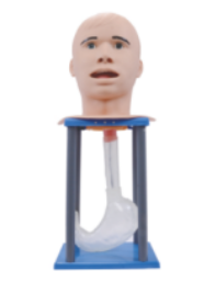 07e144ef-6499-4f41-abe8-1e235315bcd9.png