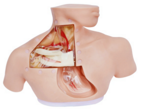 36e72702-f2ab-49f8-a98a-940d1a355a07.png