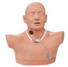 d0c835d3-8d7c-4953-ab01-f246fa0c2055.png
