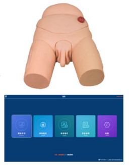 5bc6052d-8239-4c5d-98e2-52f9c33fc955.png