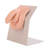 fa53c06c-c373-4d74-a096-6d6d11eb618d.png