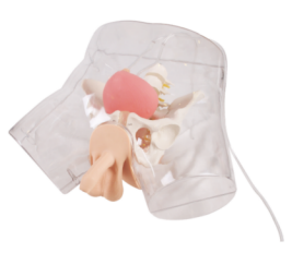 9b1db1e9-b61c-4ed5-8745-683f124a6d2a.png