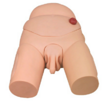 e4b2d253-1cff-41d5-b359-dcd5d64d7b48.png