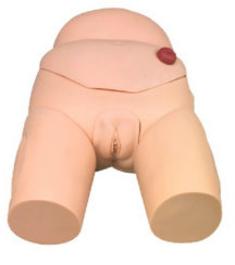 f5a56afc-3cc6-4157-b027-96c5bf9a03d2.png