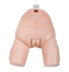 5dca713f-526b-48d4-bfdc-3ea99fcdb60f.png