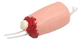 0dd796a2-0b8a-4818-ba26-791ab6d73b80.png