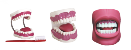 96ec23d2-2359-476f-8898-dddb61ba2c2f.png