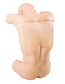 胸腔背部穿刺  CK812.png